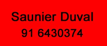 Mantenimiento Saunier Duval